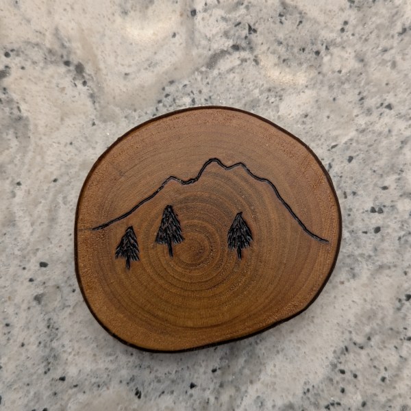 Mountain Scene Magnet